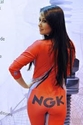 Picture for manufacturer NGK Spark Plugs